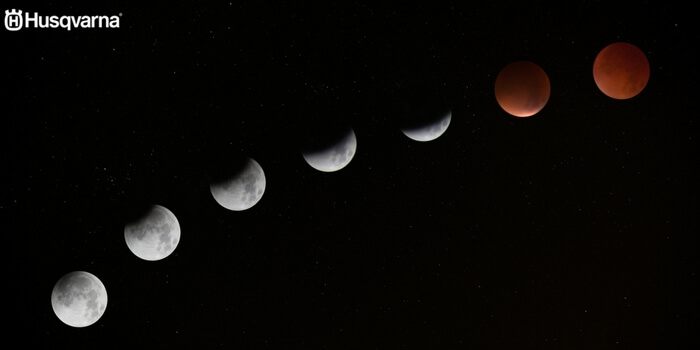Cómo influye la luna en el sector agrícola? Todo lo que necesitas saber. Cómo influye la luna en el sector agrícola? Todo lo que necesitas saber.