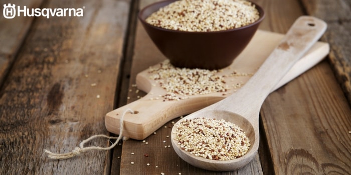 propiedades-quinoa-salud
