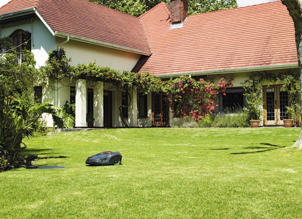 8 consejos para conseguir un césped perfecto