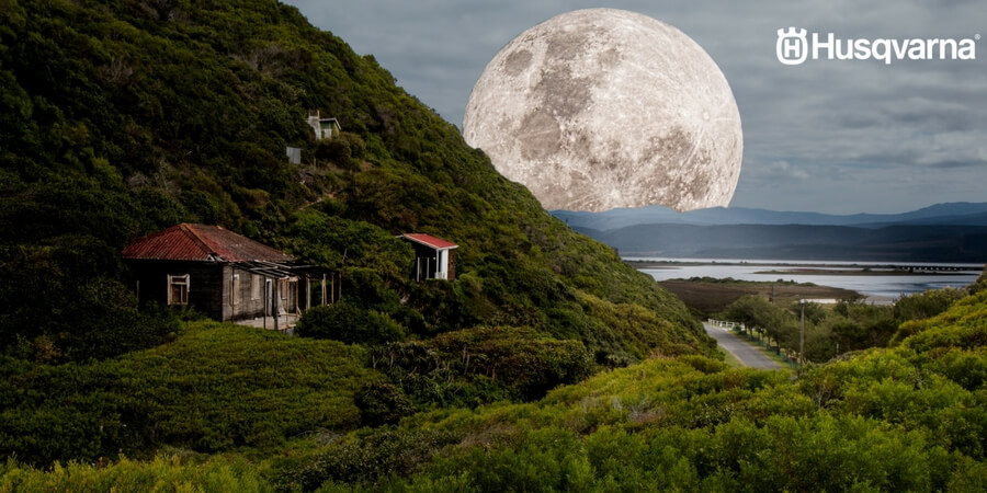 ¿Cómo influye la luna en el sector agrícola? Todo lo que necesitas saber