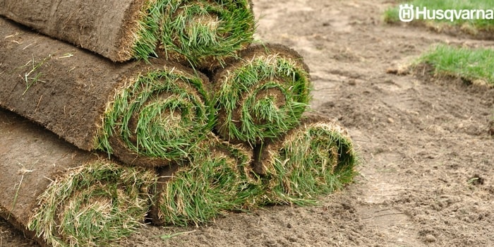 Cómo plantar césped: Los requisitos para una buena siembra
