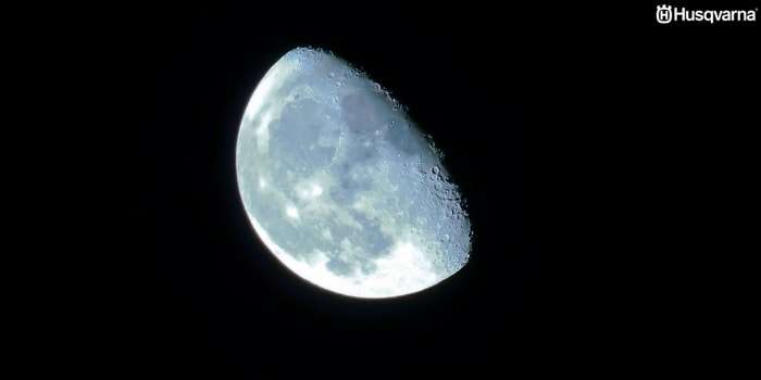 Cómo influye la luna en el sector agrícola? Todo lo que necesitas saber. Cómo influye la luna en el sector agrícola? Todo lo que necesitas saber.