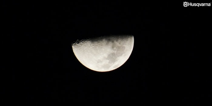 Cómo influye la luna en el sector agrícola? Todo lo que necesitas saber. Cómo influye la luna en el sector agrícola? Todo lo que necesitas saber.