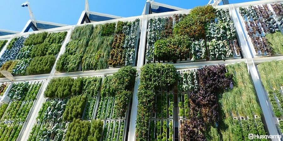 Jardines verticales, una alternativa a la falta de espacio
