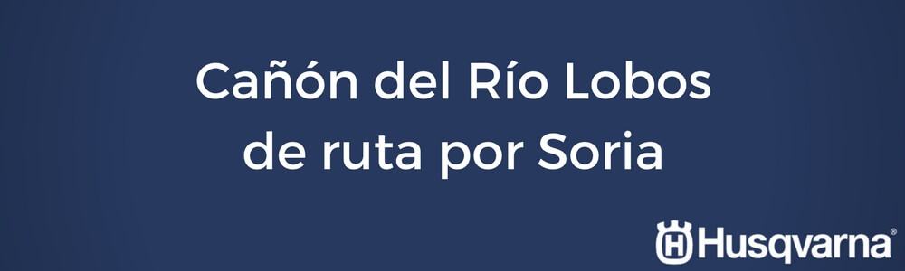 El Cañón del Río Lobos, 17 rutas de senderismo
