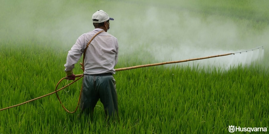 Fungicida: El tratamiento perfecto contra enfermedades y plagas