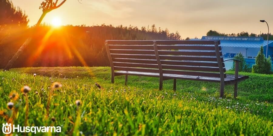 ¿En busca del jardín perfecto? Escarificar el césped es la clave