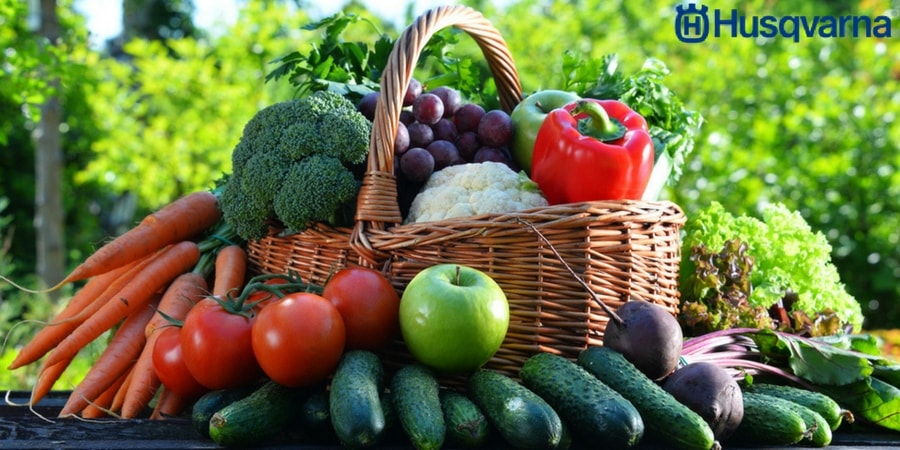 Cuantos clases de frutas existen