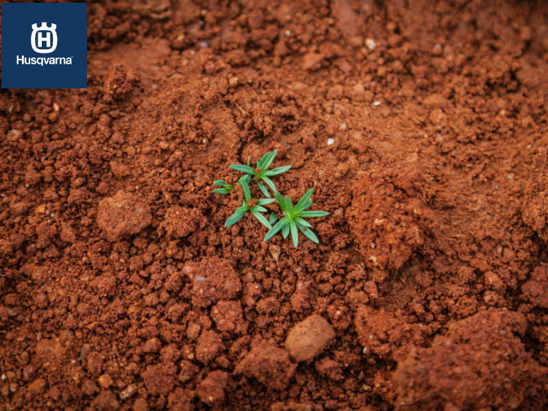 Turba, uno de los materiales más usados para cultivar plantas