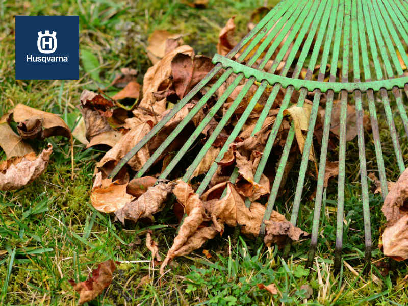 Antes de primavera, prepara el césped