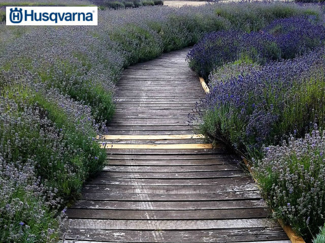 caminos-madera-jardin