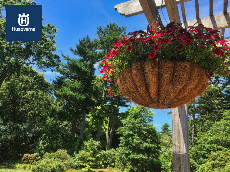 Plantas colgantes, las especies perfectas para la decoración de jardines y estancias interiores